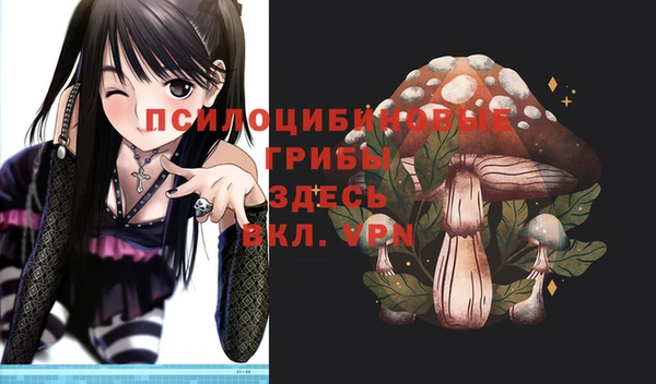 гашик Верхний Тагил